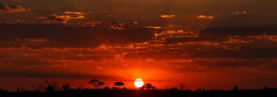 Obraz Afrykański zachód słońca