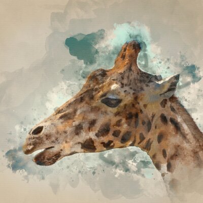 Obraz Akwarelowa żyrafa na niebieskim tle