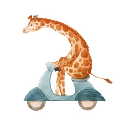 Obraz Akwarelowa żyrafa na skuterze