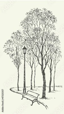 Obraz Aleja parkowa z drzewami
