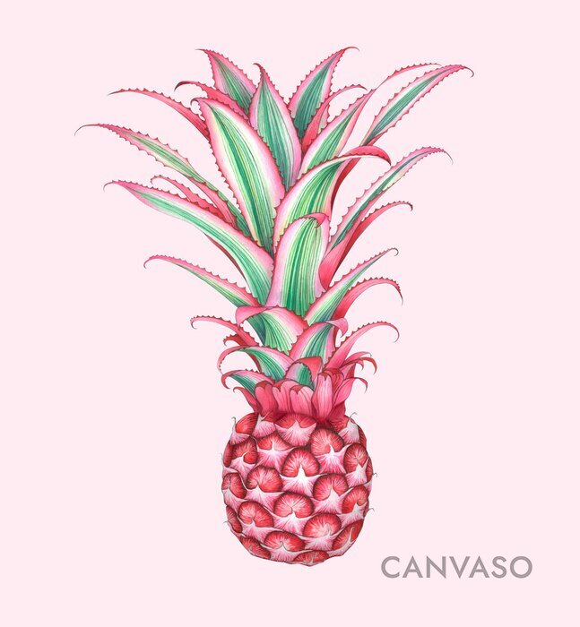 Obraz Ananas w różowym odcieniu