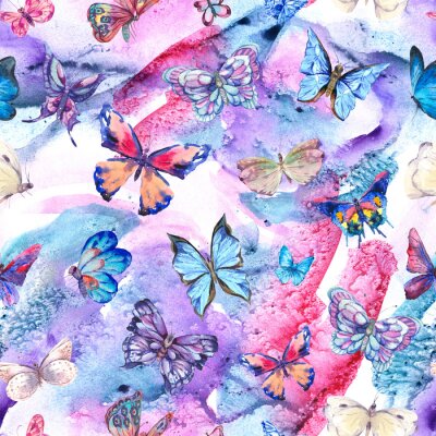 Obraz Barwna kompozycja z motylami