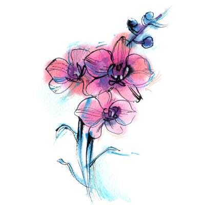 Obraz Barwny deseń z orchideą