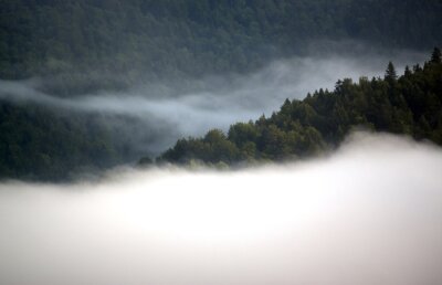 Biały woal mgły nad lasem w górach