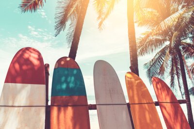 Obraz Deski do surfowania i palmy