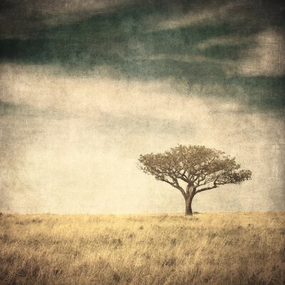 Obraz Drzewo samotne w stylu vintage