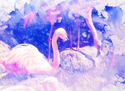 Obraz Flamingi i plamy akwarelowe