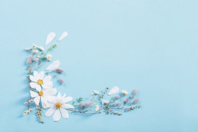 Obraz Floralna kompozycja ze stokrotek