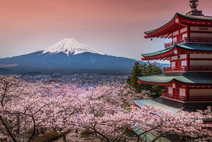 Obraz Fuji i sakura