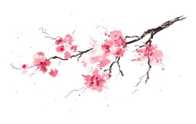 Obraz Gałąź kwitnącej wiśni