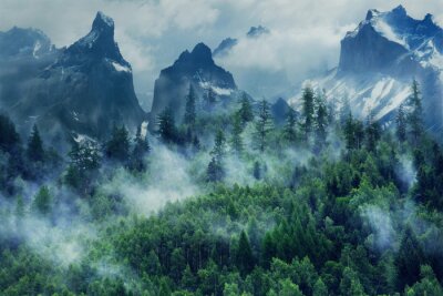 Obraz Gęsty las na tle wysokich gór