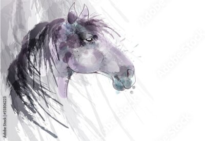 Obraz Głowa konia malowana akwarelą