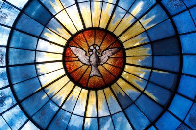Obraz Gołębica jako symbol Ducha Świętego