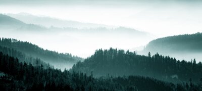 Obraz Górski krajobraz za mgłą