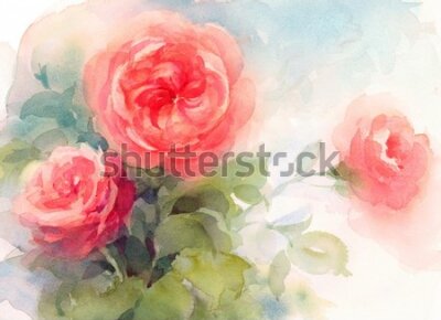 Obraz Ilustracja z różą w akwareli