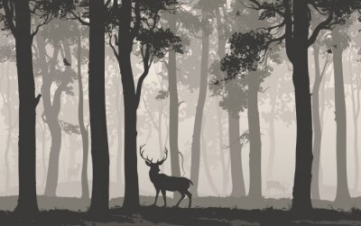 Obraz Jeleń w liściastym lesie