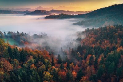Obraz Jesień w górach w mglisty poranek