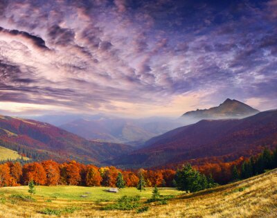 Obraz Jesienna natura na krajobrazie