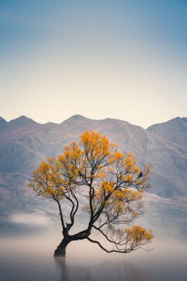 Obraz Jesienne drzewo na tle krajobrazu górskiego