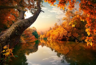 Obraz Jesienne drzewo nad rzeką
