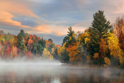 Obraz Jezioro i jesienny las