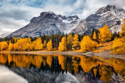 Obraz Krajobraz Parku Narodowego Banff