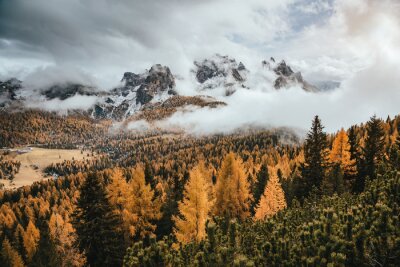 Obraz Krajobraz przedstawiający jesień w górach w mglisty dzień