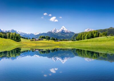 Obraz Letni krajobraz z widokiem na Alpy