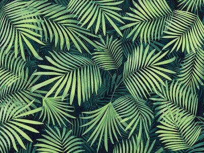 Obraz Liście tropikalny zagajnik