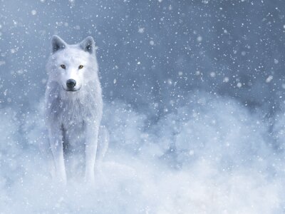 Obraz Majestatyczny biały wilk w śniegu