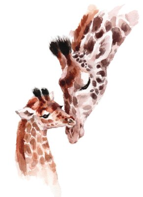 Obraz Mama żyrafa i dziecko