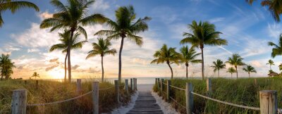 Obraz Most i palmy na Florydzie