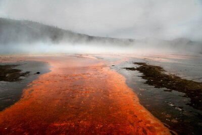 Obraz Natura w Parku Yellowstone