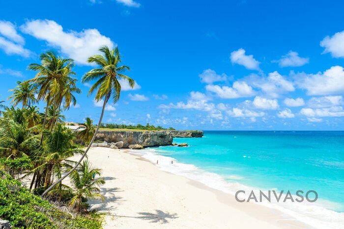 Obraz Palmy i plaże na Barbados