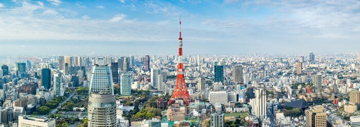 Obraz Panorama Tokio z Tokyo Tower