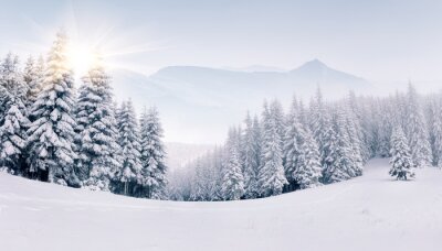 Panorama zimowego krajobrazu w górach