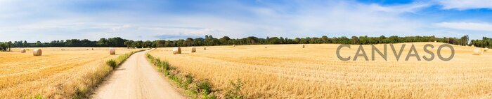 Obraz Panorama złotego pola