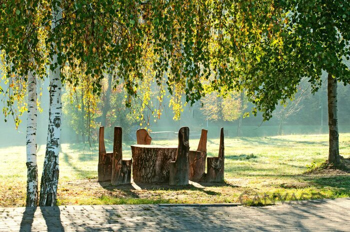 Obraz Park brzozowy