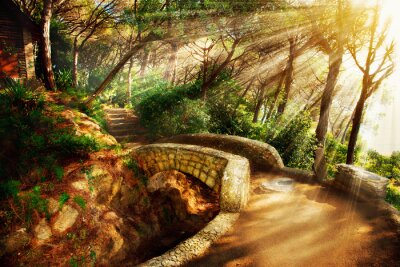 Obraz Park fantasy w promieniach słońca