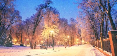 Obraz Park miejski zimą