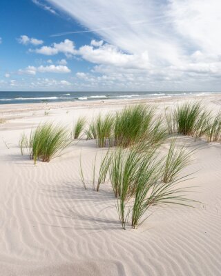 Obraz Piaszczysta plaża nad Morzem Bałtyckim