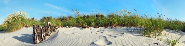 Obraz Piaszczysta plaża panorama