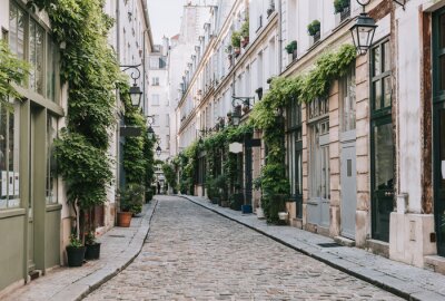 Obraz Przytulna uliczka w stolicy Francji