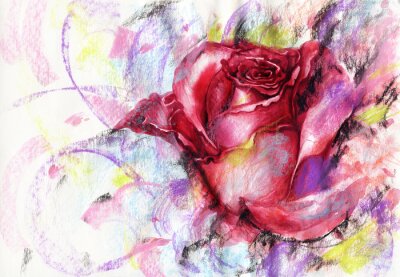 Obraz Róża malowana na kolorowym tle