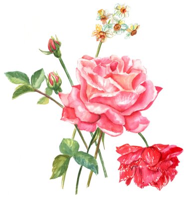 Obraz Róże czerwone malowane akwarelą