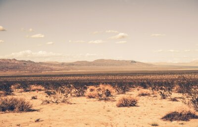 Obraz Rozległa pustynia