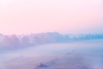 Obraz Różowa mglista łuna