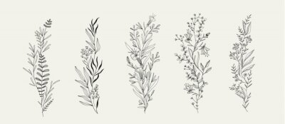 Obraz Rustykalny boho wzór z minimalistycznymi roślinkami