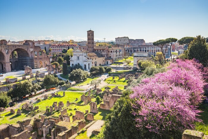 Obraz Rzym i Forum Romanum