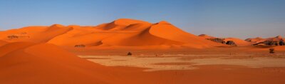 Obraz Sahara pustynia w słońcu